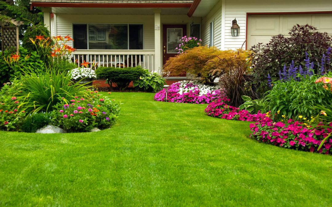 6 Easy Landscaping Tips to Improve Your Yard