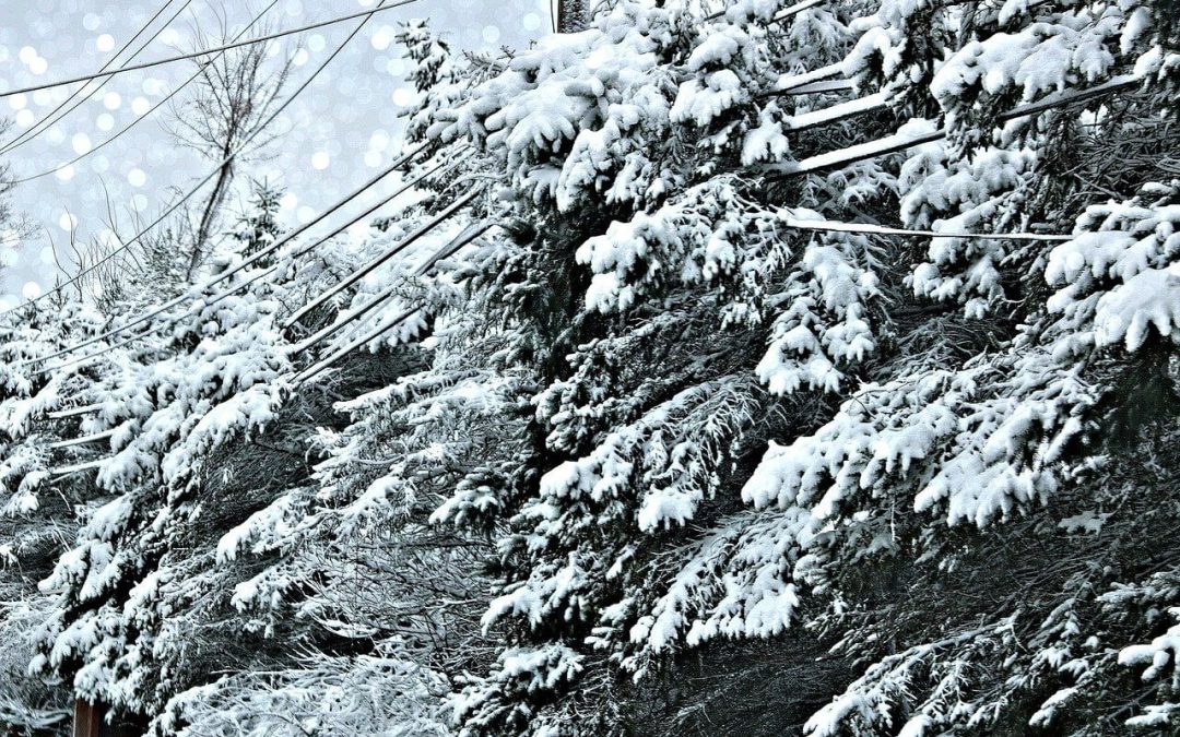 6 Ways to Prepare for a Winter Storm at Home