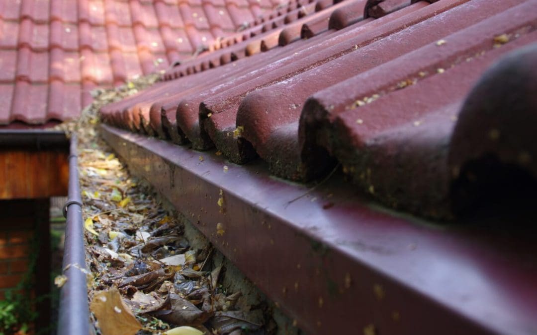 8 Tips for Cleaning Your Gutters