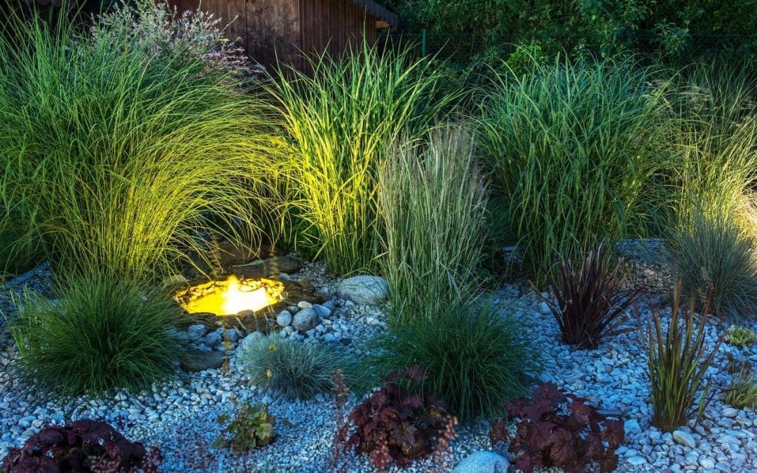 Plan Your Landscape Lighting: A Complete Guide for Homeowners