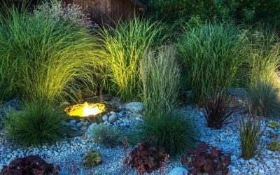 Plan Your Landscape Lighting: A Complete Guide for Homeowners